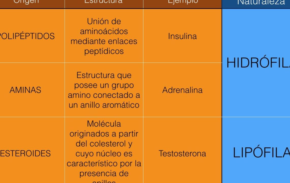 cual es la diferencia entre enzimas y hormonas descubre aqui