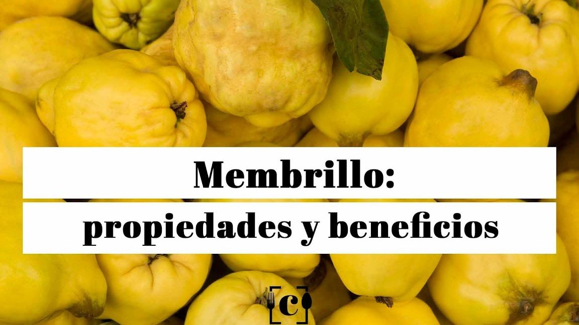 cual es la diferencia entre membrillo y gamboa un analisis comparativo