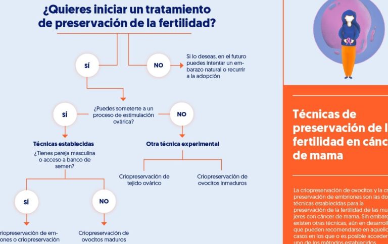 ¿cuáles Son Las Diferencias Entre Fiv Y Icsi Una Guía Seo Para Comprender La Reproducciónemk 9805