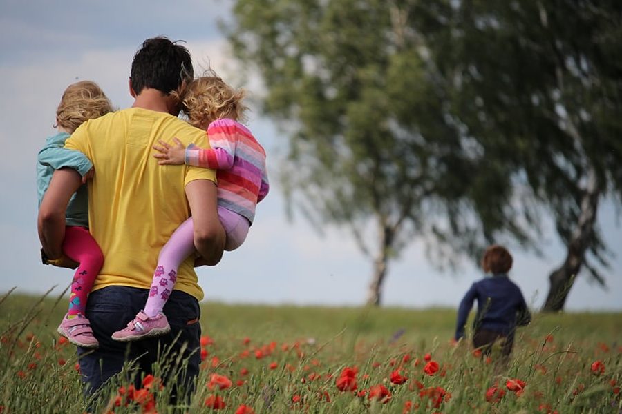 cuales son las principales diferencias entre tutela guarda y custodia