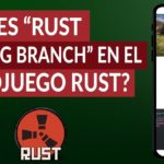 descubre la diferencia entre rust y rust staging branch