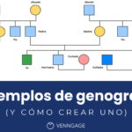 descubre la diferencia entre un genograma y un arbol genealogico aprende como usarlos correctamente