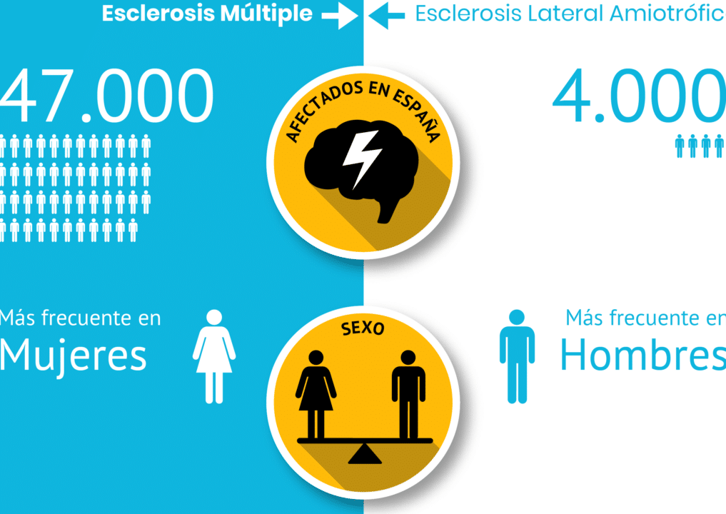 descubre las notables diferencias entre la esclerosis multiple y ela una comparacion