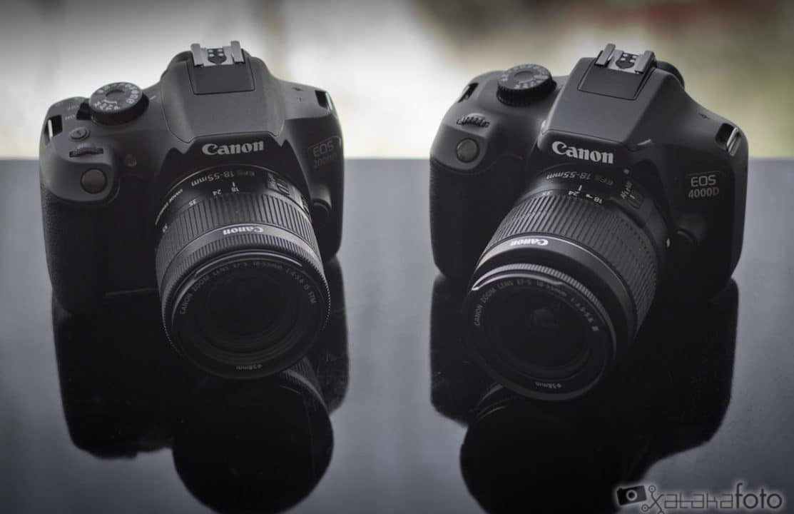 canon 2000d vs 4000d descubre las diferencias entre estos dos modelos de camaras reflex digitales