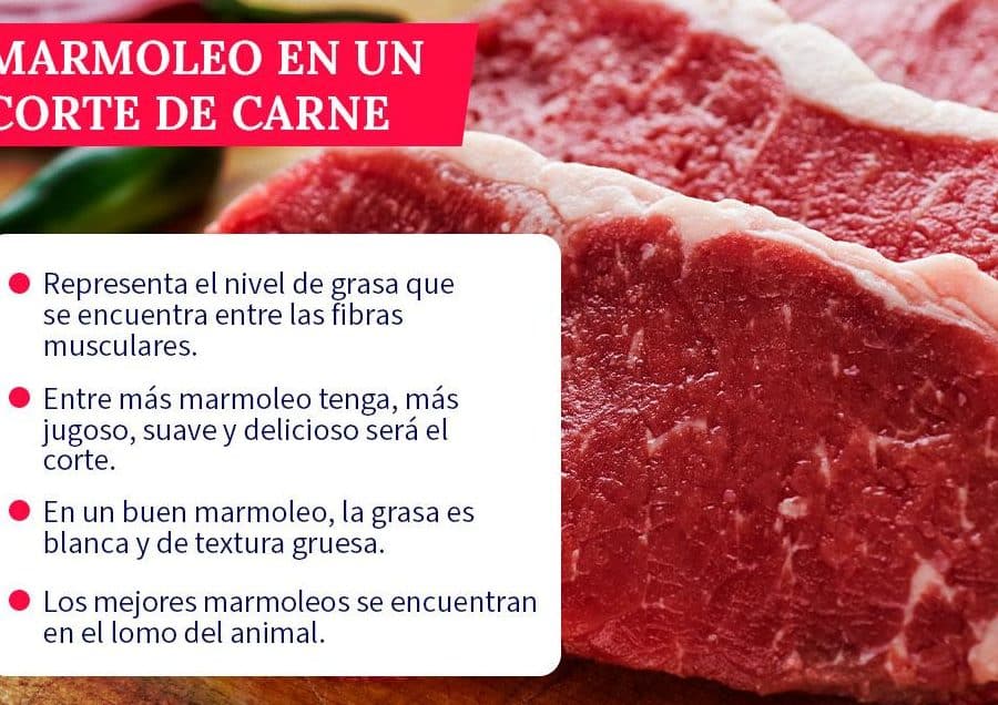 cual es la diferencia entre un t bone y un tomahawk steak guia completa para eligir el mejor steak