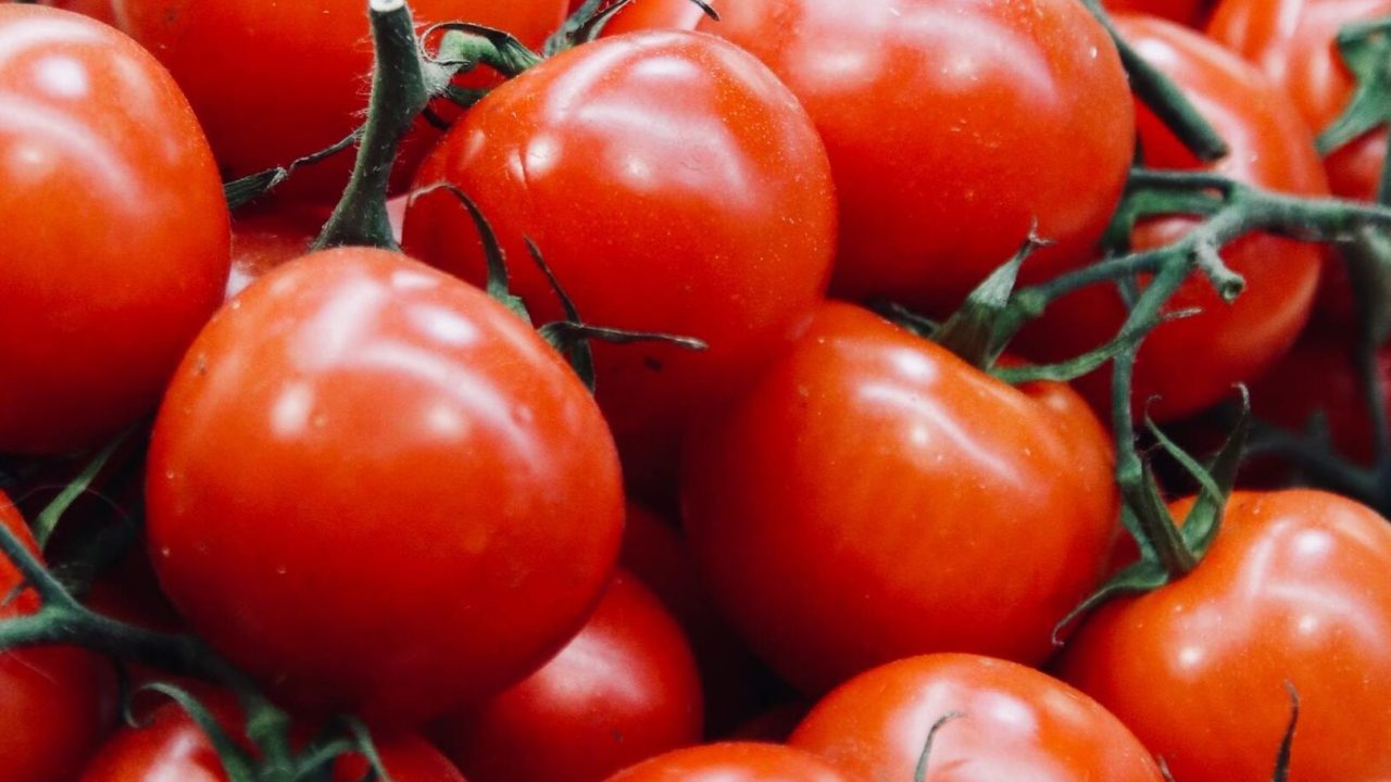 cuales son las diferencias entre tomate tamizado y frito descubre aqui