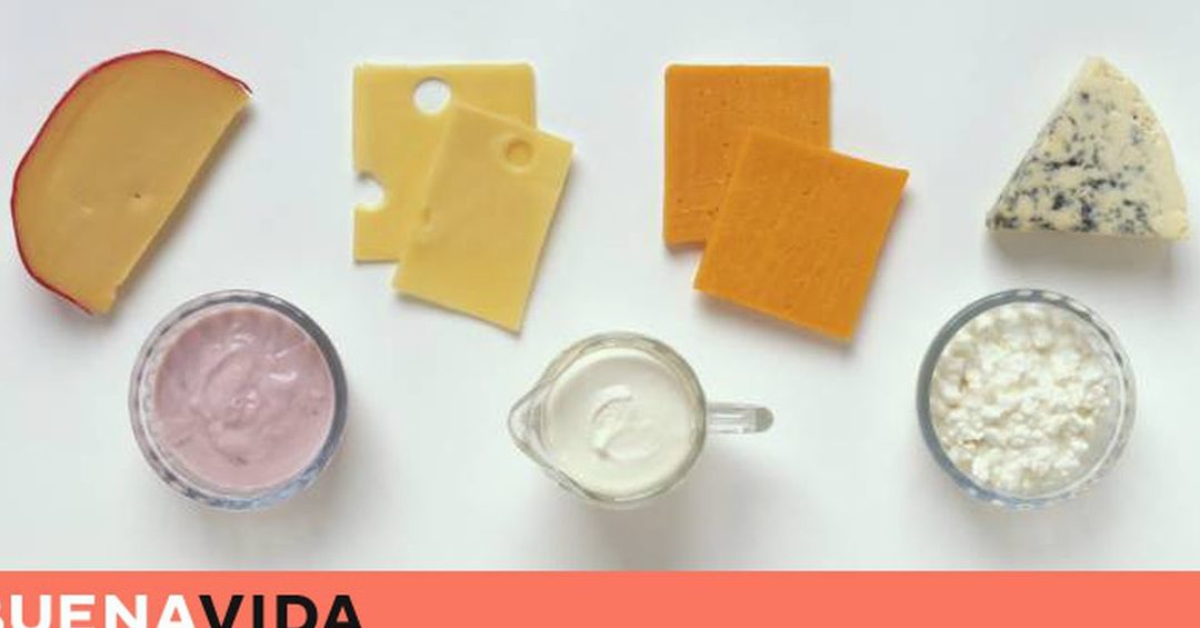 cuales son las principales diferencias entre el queso cheddar y el queso chihuahua guia de quesos