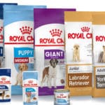 descubre la diferencia entre royal canin renal y renal special elige el mejor alimento para tu mascota