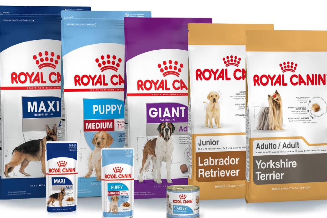 descubre la diferencia entre royal canin renal y renal special elige el mejor alimento para tu mascota