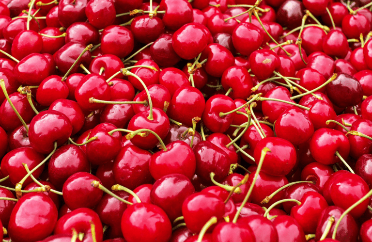 Descubre Las Diferencias Entre La Picota Cereza Y La Guinda Todo Lo Que Necesitas Saber 0458