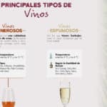 descubriendo las notables diferencias entre el vino fino y la manzanilla