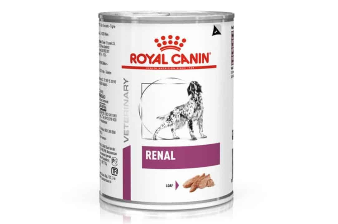 royal canin renal vs renal special cuales son las diferencias