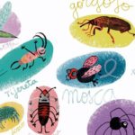 cuales son las diferencias entre chinches y pulgas explorando la ciencia detras de estos insectos