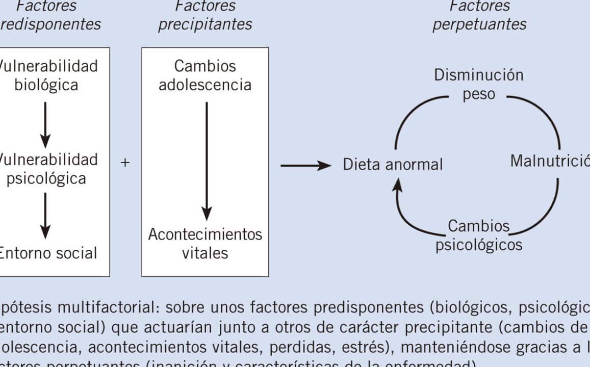 cuales son las diferencias entre la bulimia y la anorexia guia completa para la compresion de estos trastornos alimenticios