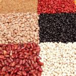 cuales son las principales diferencias entre las legumbres y los cereales