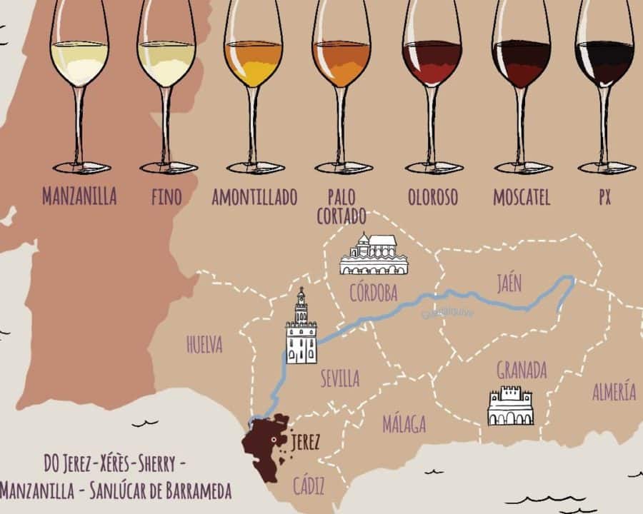 cuales son las principales diferencias entre vino joven y vino tempranillo una guia detallada