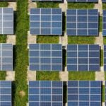 guia definitiva para entender las diferencias entre paneles solares monocristalinos y policristalinos