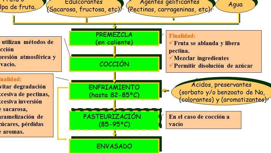 descubre las diferencias clave entre frutas y hortalizas guia definitiva