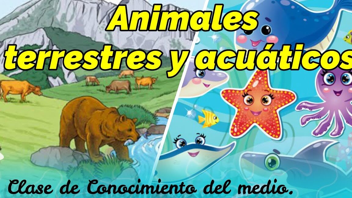 descubre las diferencias entre animales acuaticos y terrestres para ninos una leccion educativa y divertida