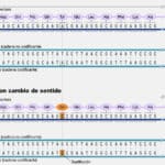 descubre las diferencias entre las consecuencias bioquimicas y nutritivas de las mutaciones todo lo que necesitas saber