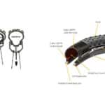 descubre las principales diferencias entre tubeless y tubeless ready para elegir la opcion ideal para tus neumaticos