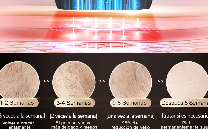 diferencias claras entre ausschliesslich y nur cual es la mejor opcion