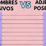 diferencias clave entre adjetivos posesivos y pronombres posesivos en ingles todo lo que necesitas saber