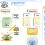 diferencias clave entre aduanas interiores y fronterizas cual es la mejor opcion para su negocio