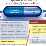 diferencias entre amoxicilina y amoxicilina clavulanico cual es la eleccion adecuada