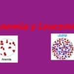 diferencias entre anemia y leucemia cual es la distincion clave
