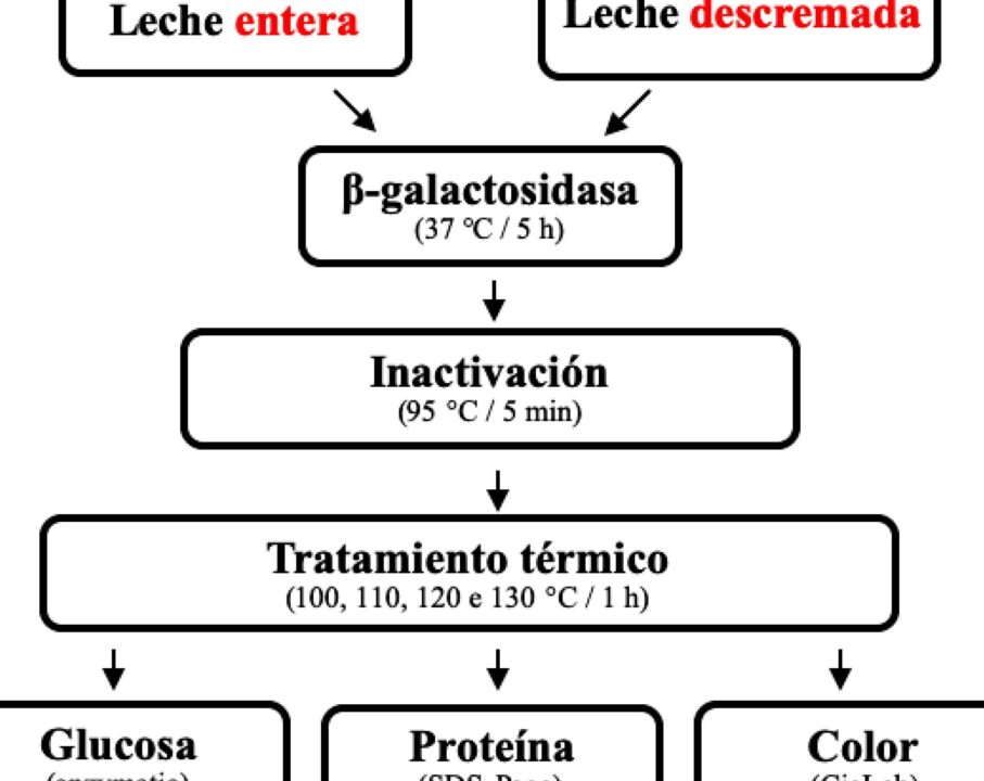 diferencias entre caramelizacion y reaccion de maillard todo lo que necesitas saber