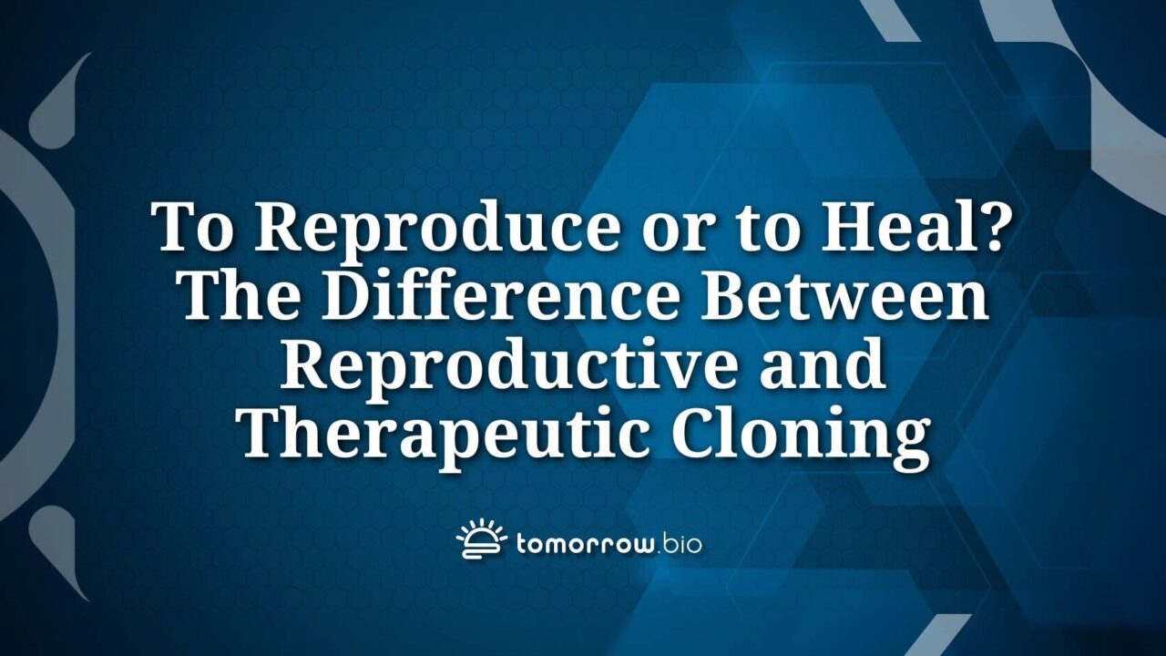 diferencias entre clonacion terapeutica y reproductiva cual es su impacto y uso en la medicina
