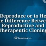 diferencias entre clonacion terapeutica y reproductiva cual es su impacto y uso en la medicina
