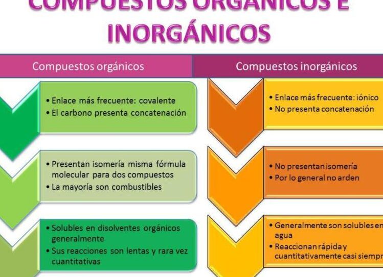 diferencias entre compuestos organicos e inorganicos segun el tamano molecular