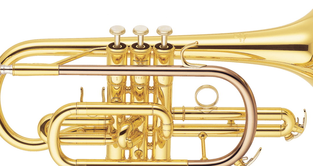 diferencias entre corneta y trompeta todo lo que necesitas saber