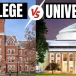 diferencias entre instituto y universidad todo lo que debes saber