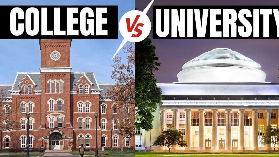 diferencias entre instituto y universidad todo lo que debes saber