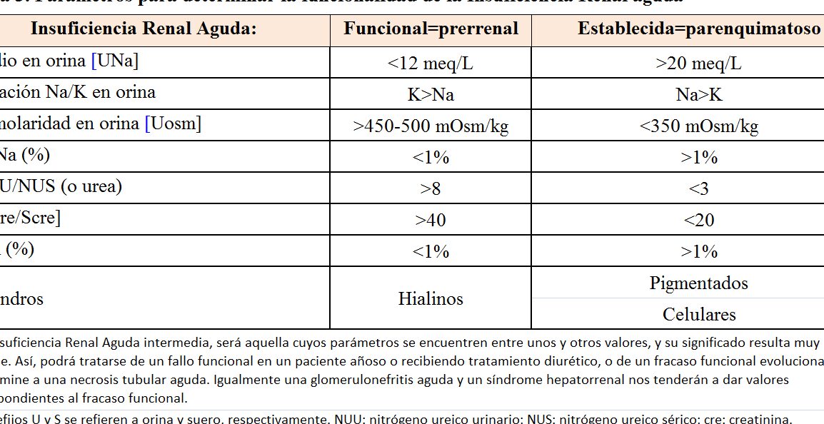 diferencias entre ira prerrenal y ira renal todo lo que necesitas saber