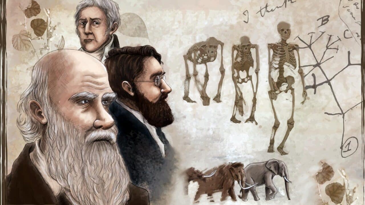 diferencias entre lamarck darwin y wallace un analisis completo del legado evolutivo