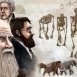 diferencias entre lamarck darwin y wallace un analisis completo del legado evolutivo