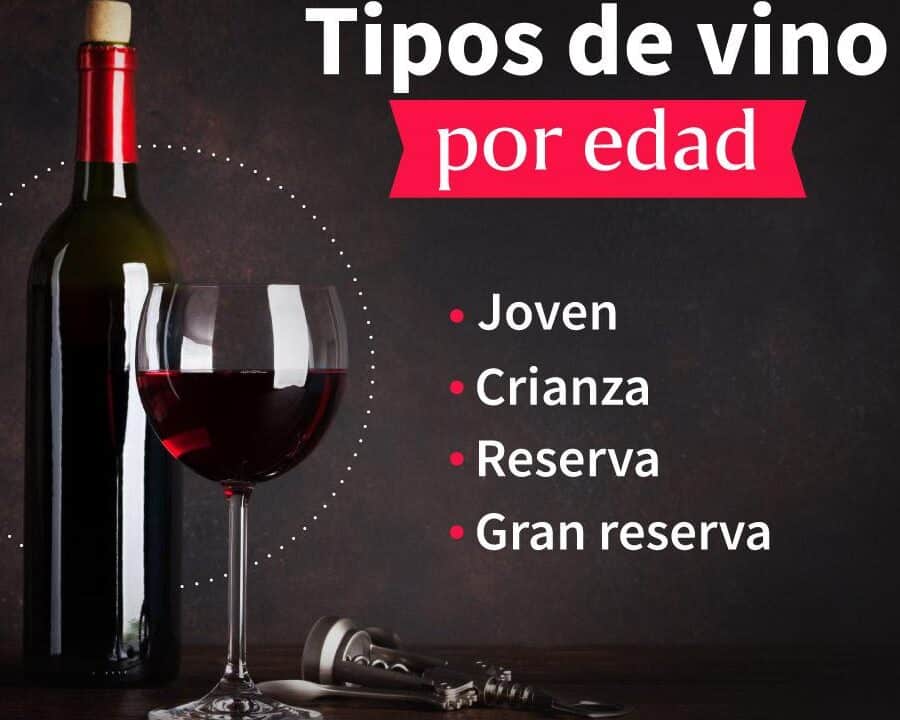 diferencias entre vino seco y semiseco descubre las caracteristicas y propiedades de cada uno