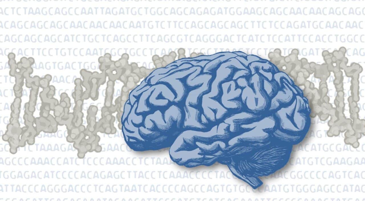 diferencias sorprendentes entre el funcionamiento del cerebro humano y una farmacia que nos hace unicos