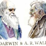 las diferencias clave entre darwin y wallace una mirada detallada a los principales conceptos de la evolucion