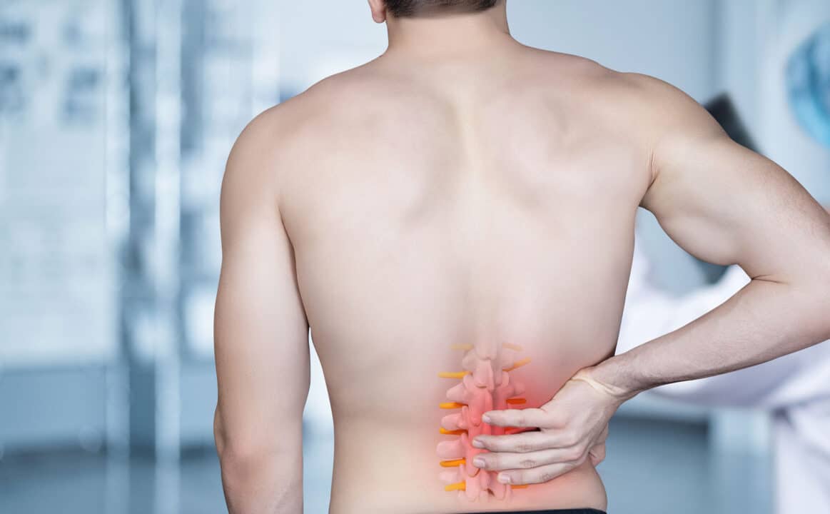 medula espinal vs columna vertebral cuales son las diferencias y como afectan tu salud