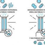 principales diferencias entre arrastre por aire y arrastre por agua cual es mejor