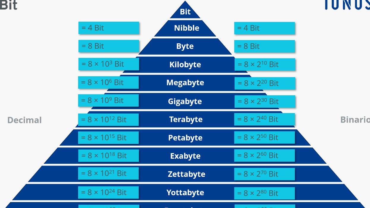 bit vs int descubre las diferencias y usos de cada uno en la programacion