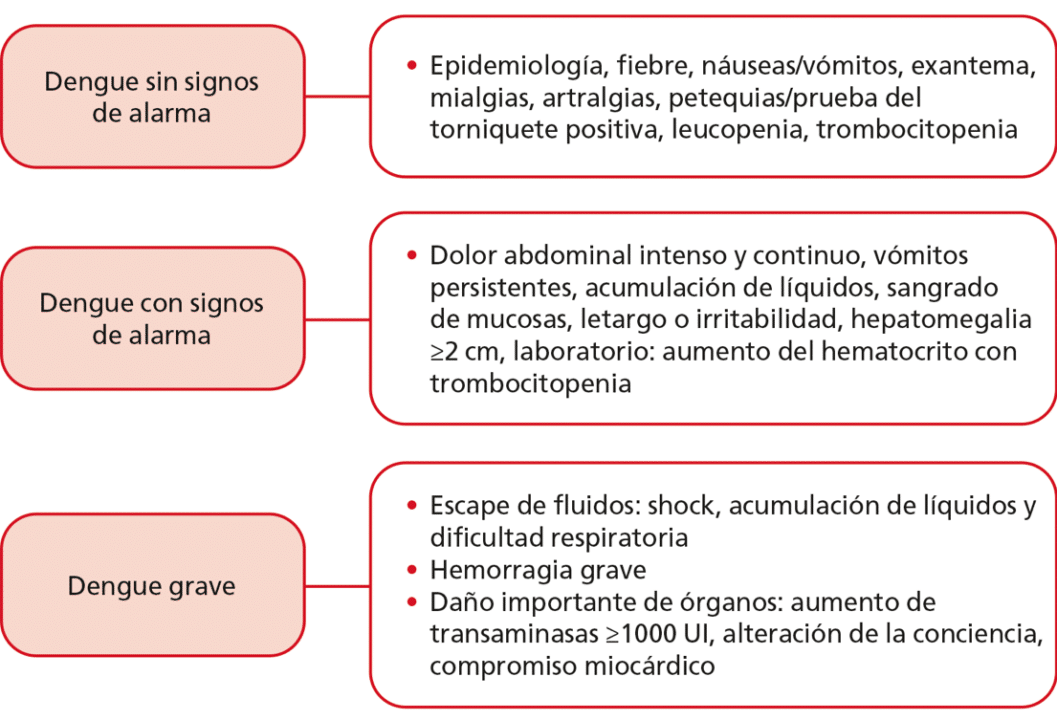 dengue vs dengue hemorragico cuales son las diferencias clave