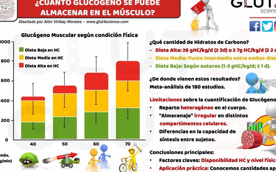 descubre las diferencias entre atp y fit como afectan al rendimiento deportivo