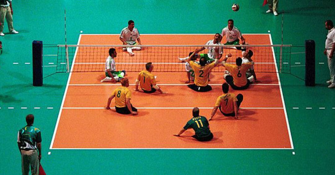 descubre las principales diferencias entre cachibol y voleibol como deporte