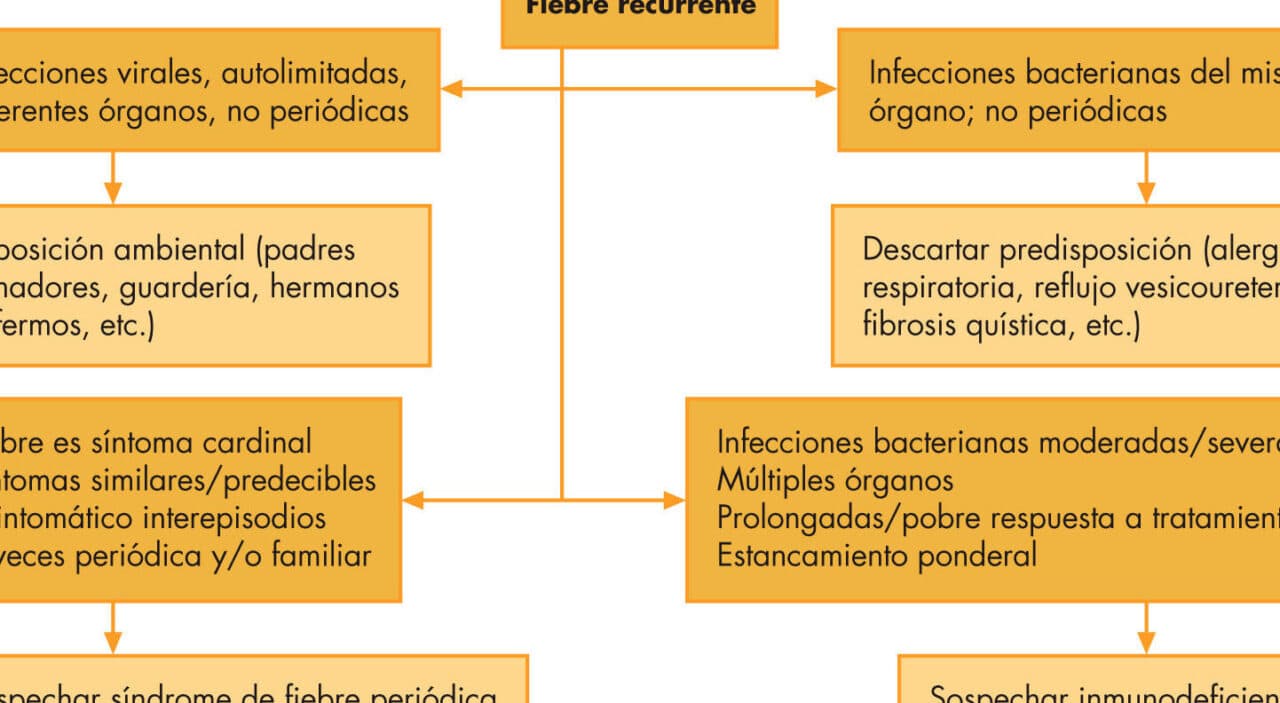 descubre las principales diferencias entre fiebre e hipertermia una guia completa